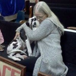 lady_auctioneer avatar