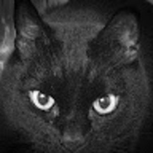 christinahill avatar