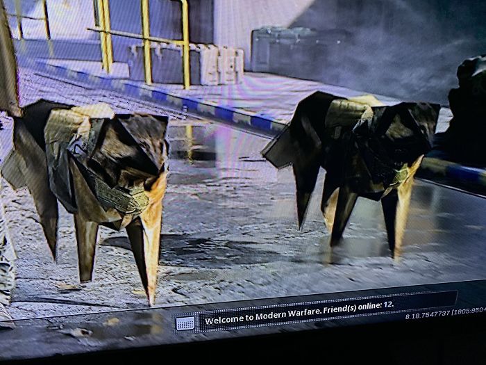 Those Perfectly Rendered Dogs