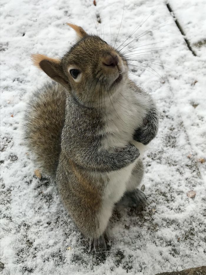 Morning Meal Time. Waiting For Me To Unlock The Patio Door