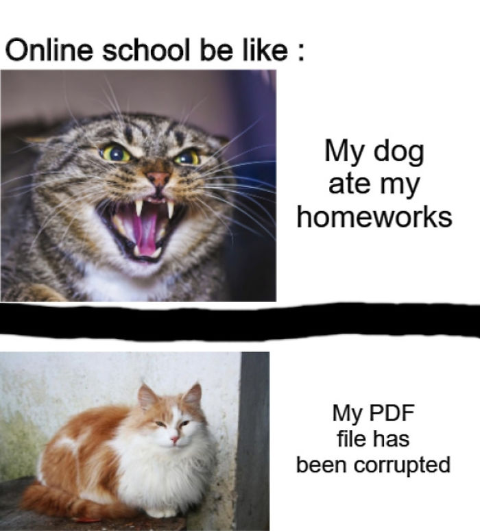 Funny-Coronavirus-Covid-19-Jokes