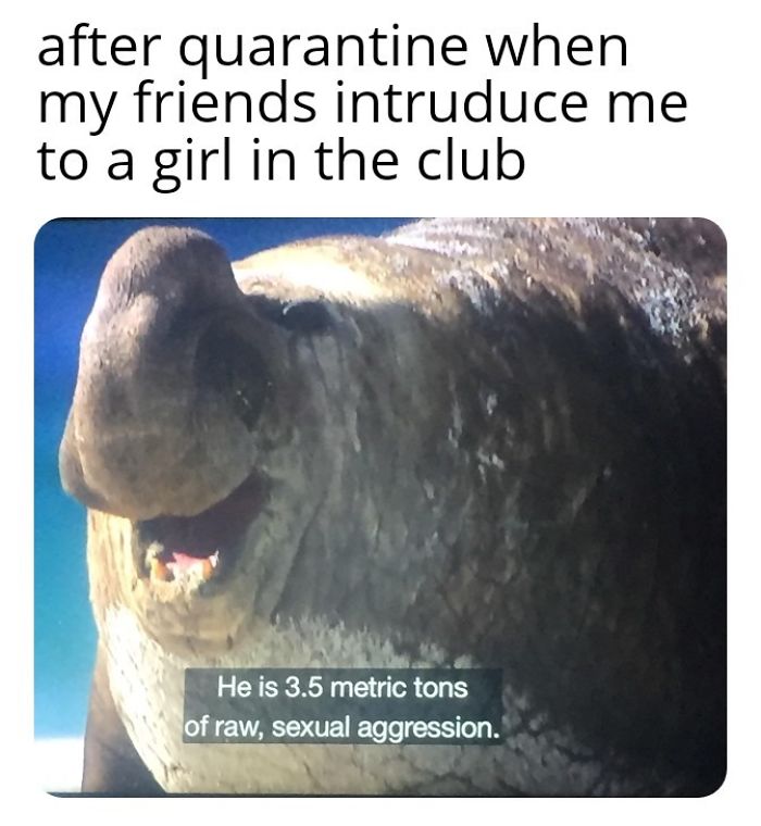 Funny-Coronavirus-Covid-19-Jokes