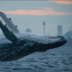 keirabramasco avatar