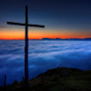 bethanyphillips avatar