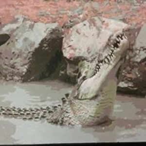 stephaniemiller2011 avatar