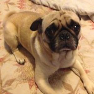 patricia_benson1 avatar