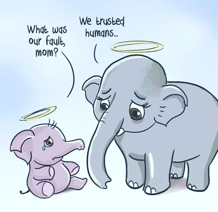 Pregnant-Elephant-Dies-Eats-Pineapple-Filled-With-Firecrackers-Artists-Pay-Tribute