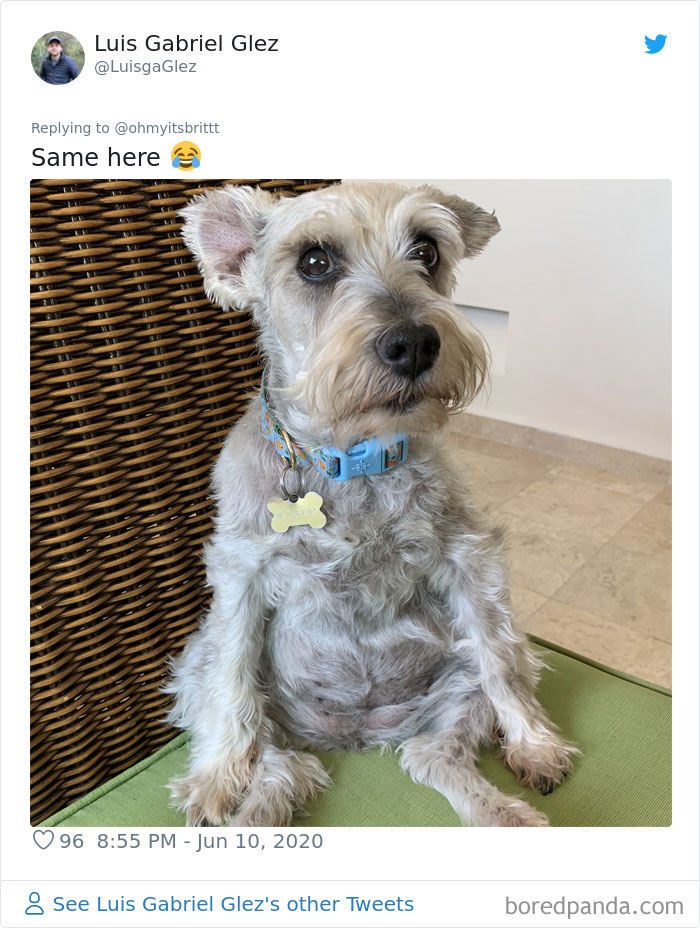 Werid-Sitting-Poses-Pets-Photo