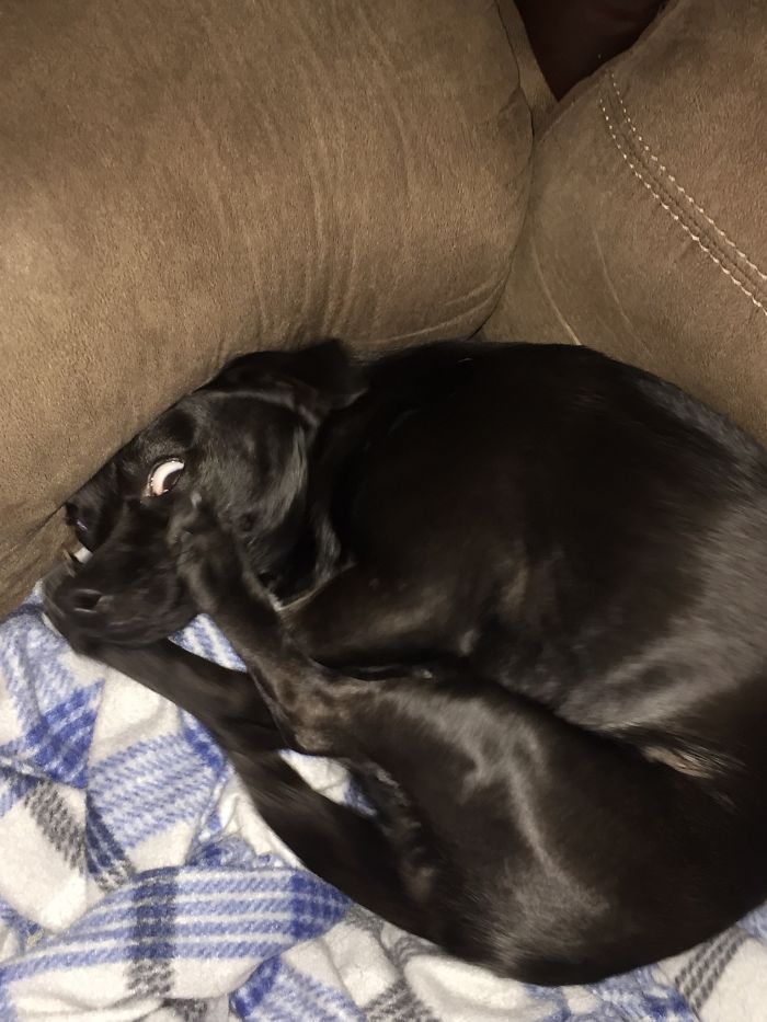 Ummm, Can I Help You???