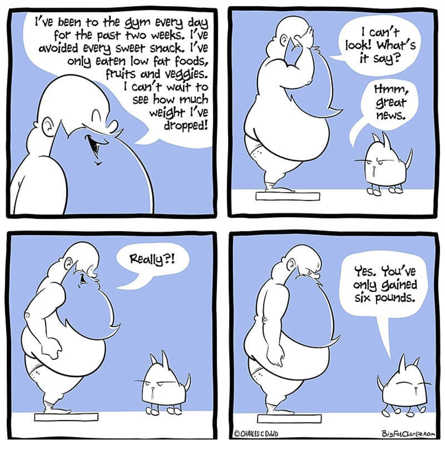 13 Comics About Being Fat, Having Diabetes, And A Cat