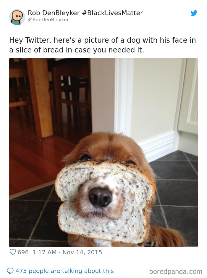 Thanks, We Needed It A Loaf