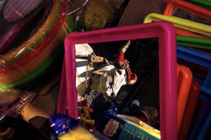 I Photographed The Streets Of India