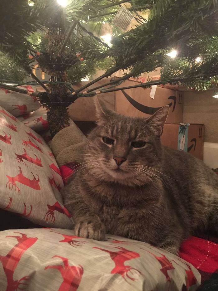 He’s Just Mad Because He Can’t Open Them Early