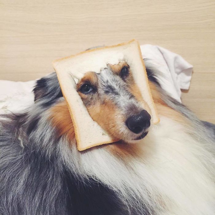 She Said She'll Bring Me Breakfast In Bed