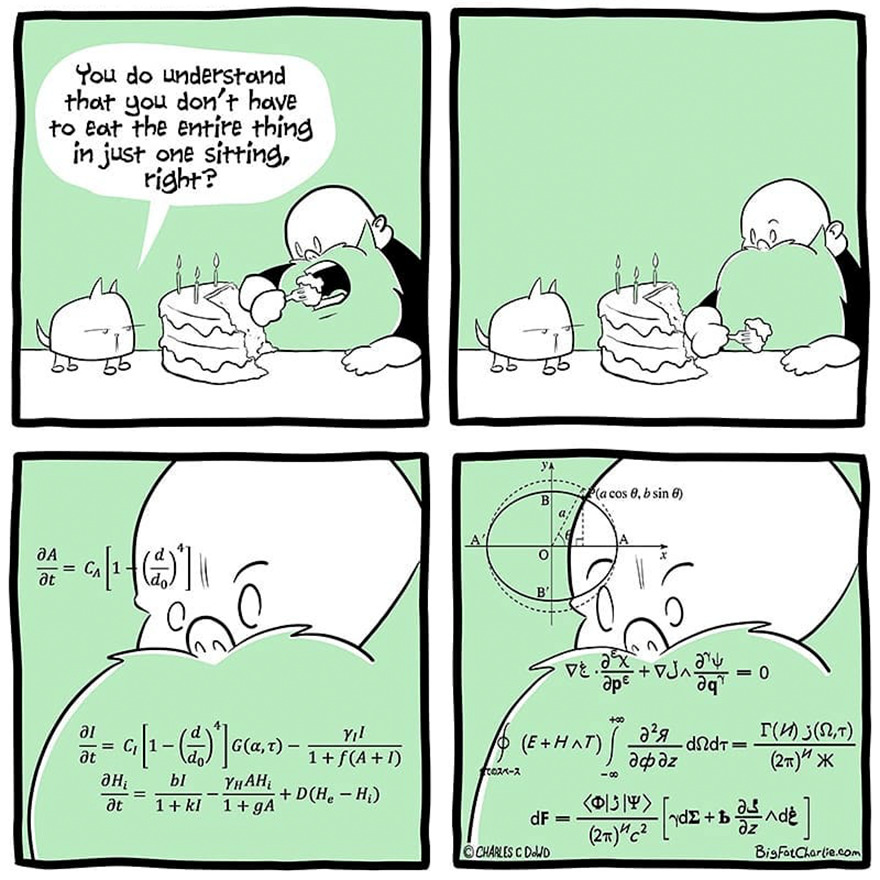 13 Comics About Being Fat, Having Diabetes, And A Cat