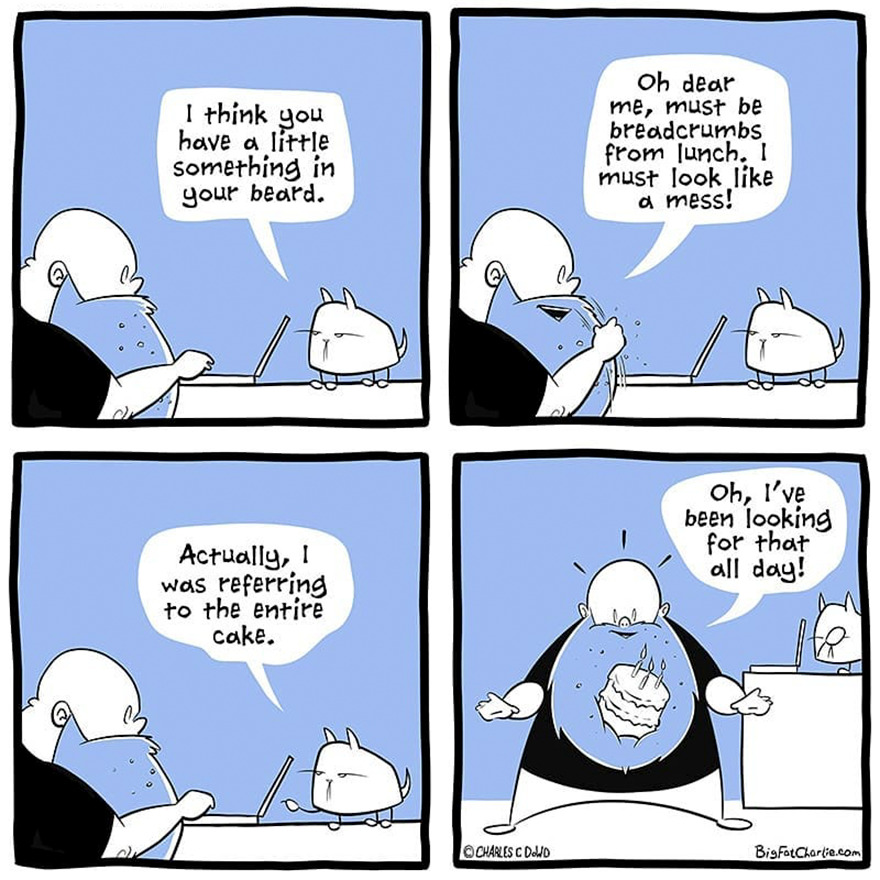 13 Comics About Being Fat, Having Diabetes, And A Cat