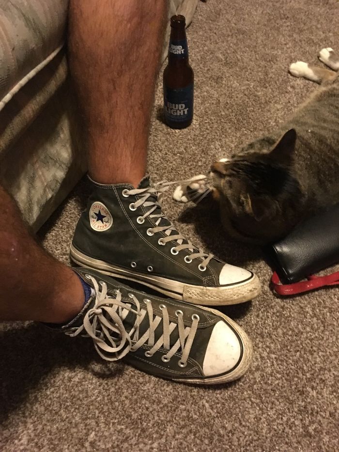 Shoelaces. Must. Not. Be. Tied!