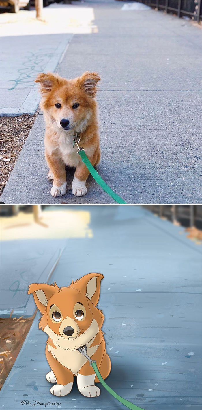 Artist-Turns-Pets-Disney-Characters-Pet-Disneyfication