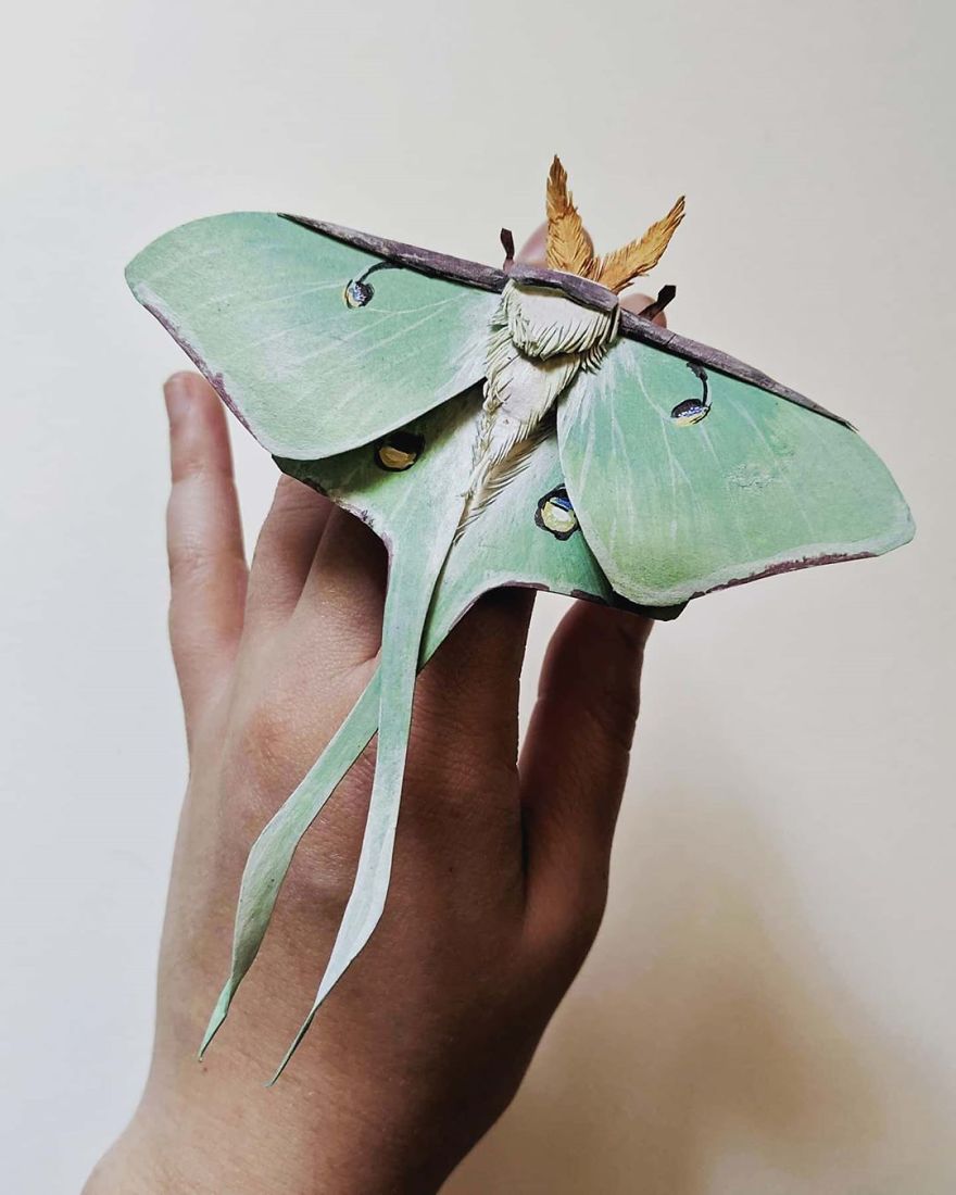 Artist Creates An Incredible Variety Of Realistic Insects Using Only Paper
