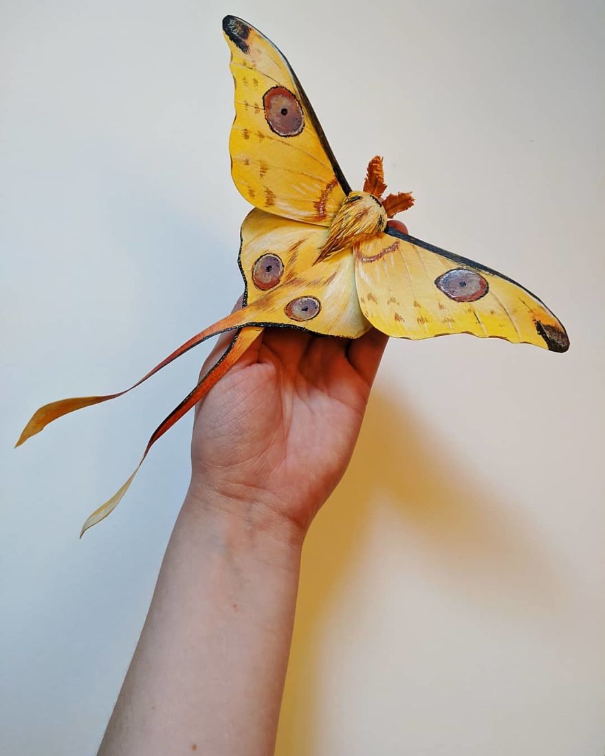 Artist Creates An Incredible Variety Of Realistic Insects Using Only Paper