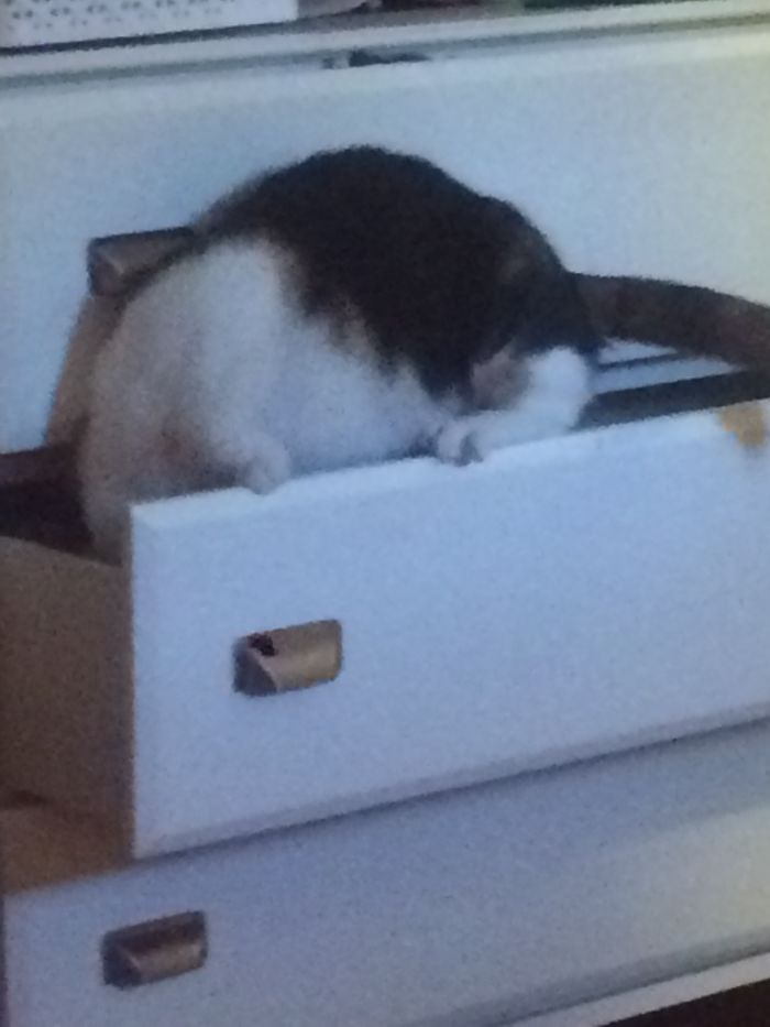 Athena’s Quite The Explorer