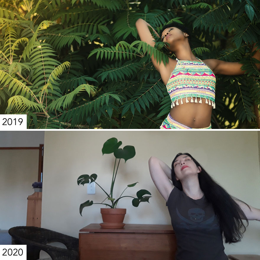 Immersing Oneself In Exotic Foliage Is Not What It Used To Be. Some People Are Fostering Shelter Pets Right Now. My Housemate Is Fostering Abandoned Office Plants