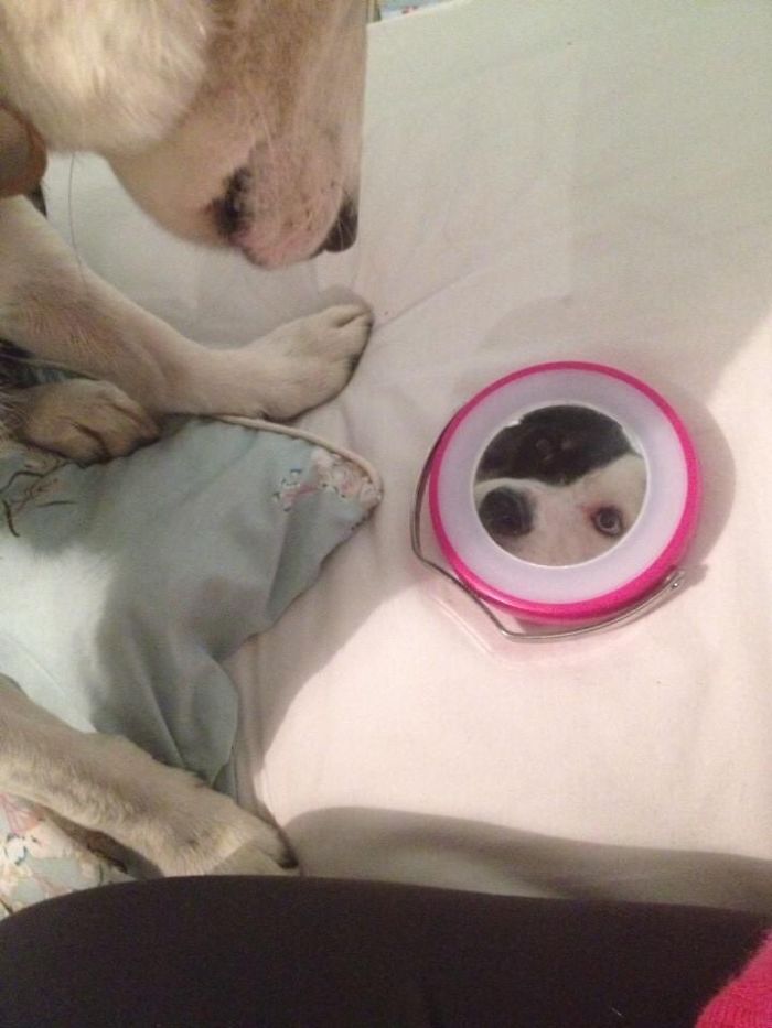 Looking In The Mirror