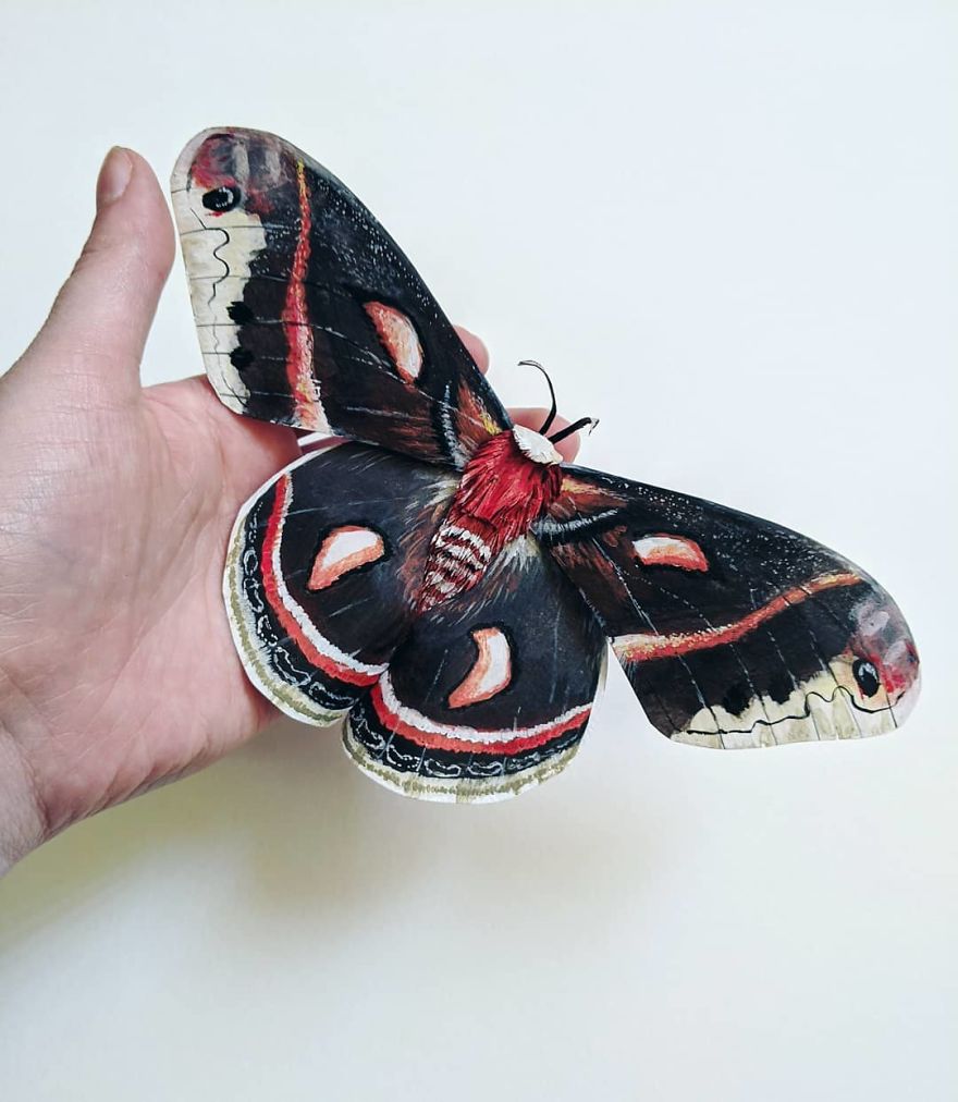 Artist Creates An Incredible Variety Of Realistic Insects Using Only Paper