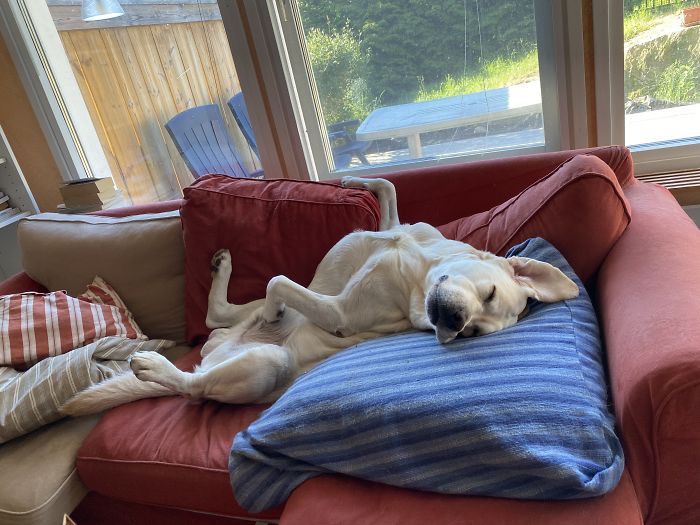 Paint Me Like Your French Ladies...