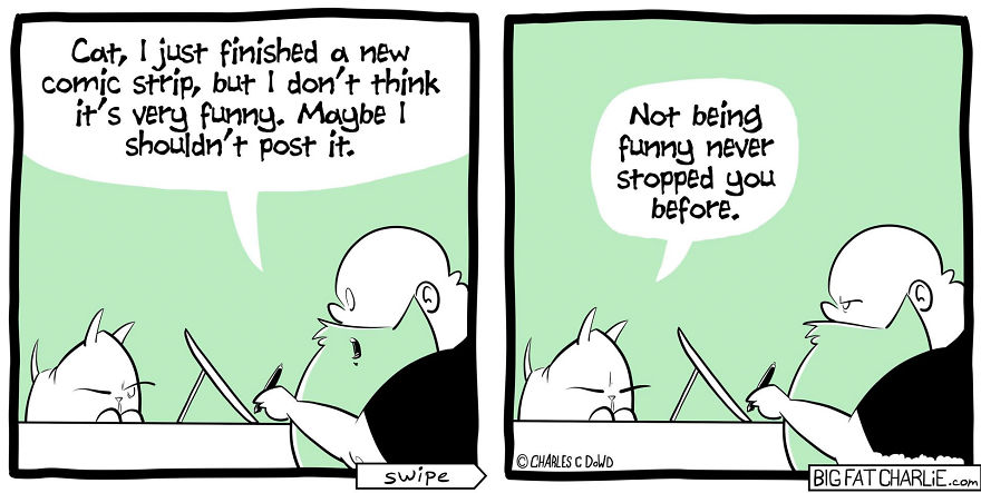 13 Comics About Being Fat, Having Diabetes, And A Cat