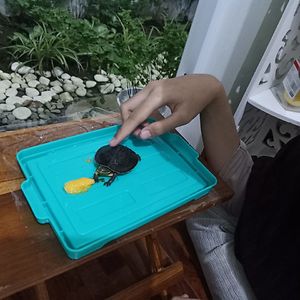 afifahkanagawa06 avatar