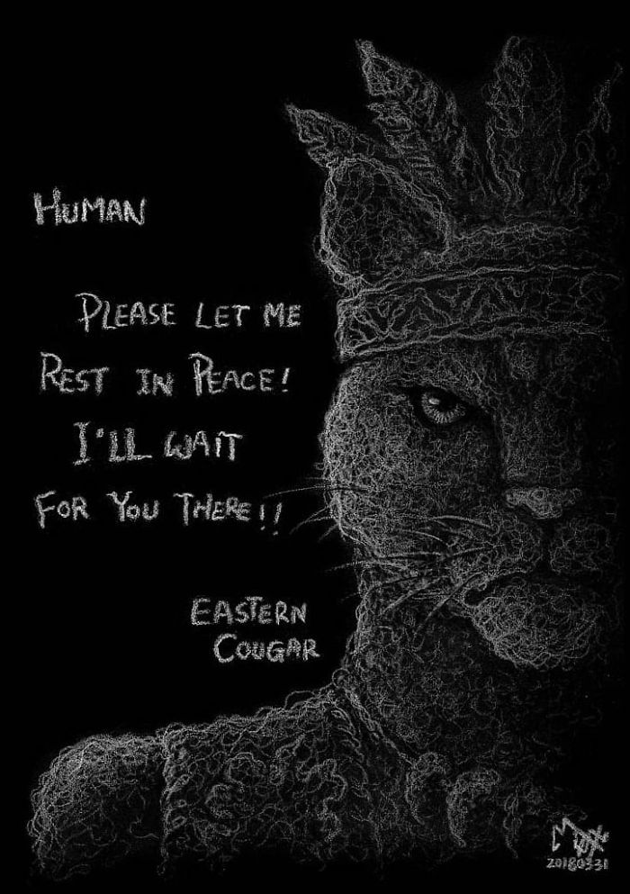 Artist Shows Shocking Illustrations About Animal Abuse That Many Humans Will Surely Be Ashamed Of