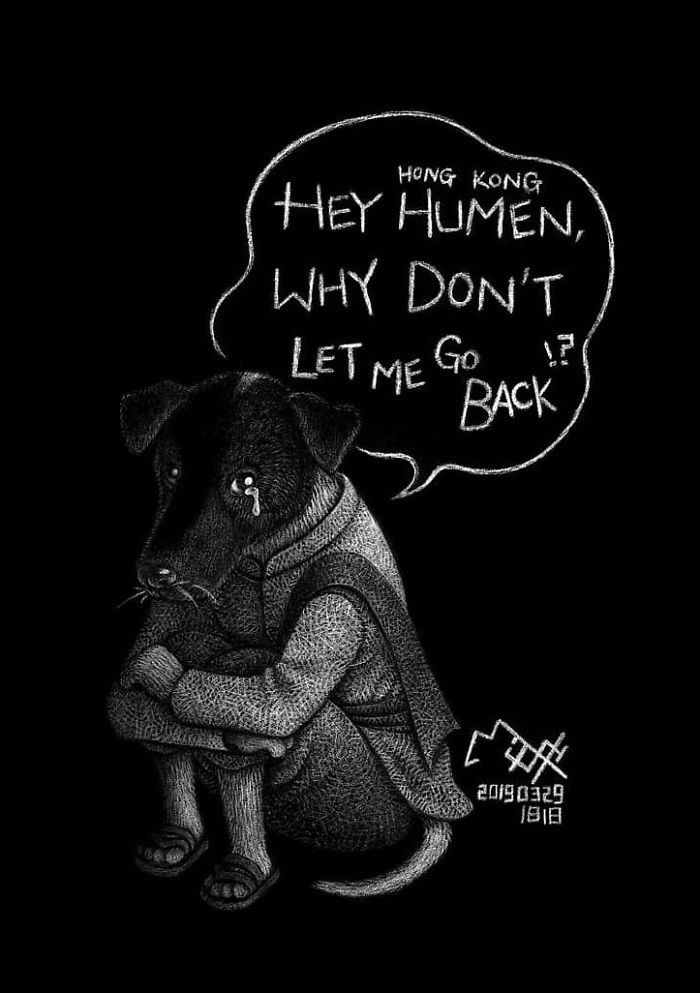 Artist Shows Shocking Illustrations About Animal Abuse That Many Humans Will Surely Be Ashamed Of