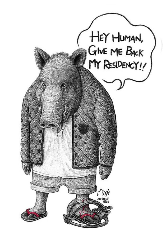 Artist Shows Shocking Illustrations About Animal Abuse That Many Humans Will Surely Be Ashamed Of