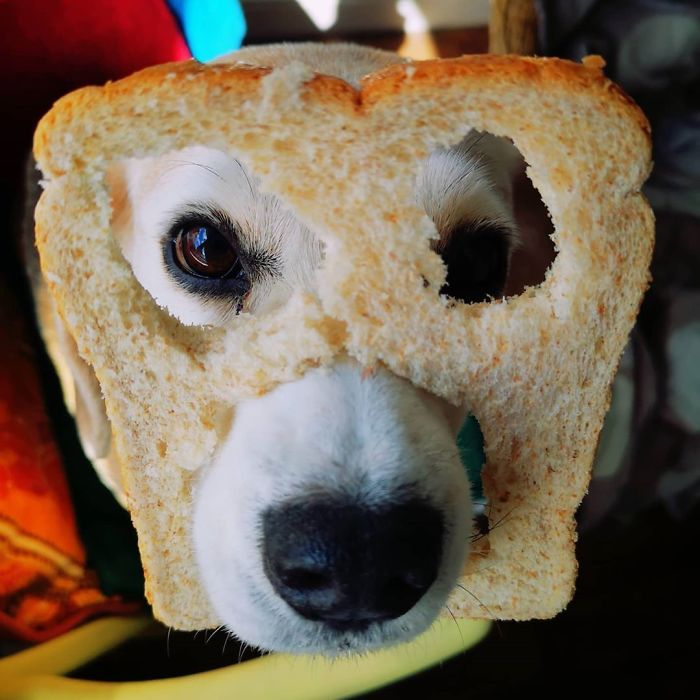 Me And The Girls Amusing Ourselves However Possible