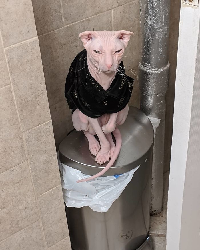 Iza Watch And Wait For My Nom Noms