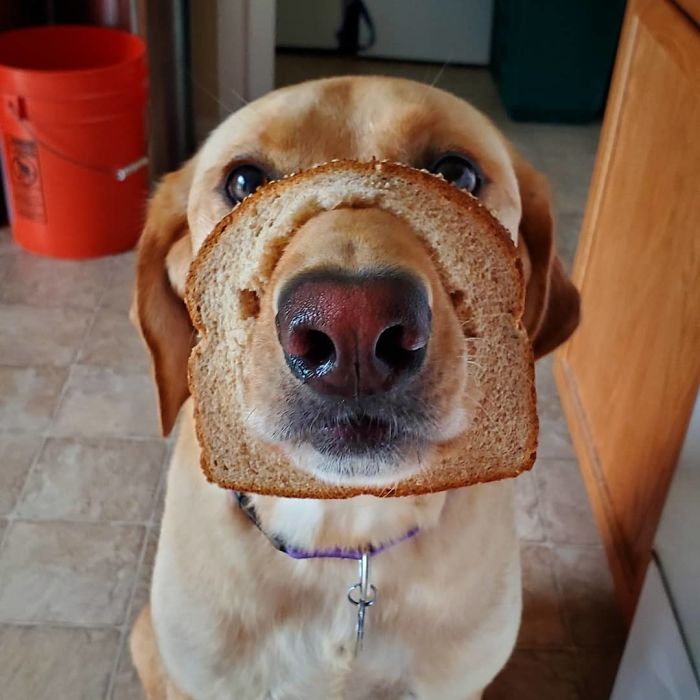 Just Wanted To See If She Would Let Me Do It. First Try