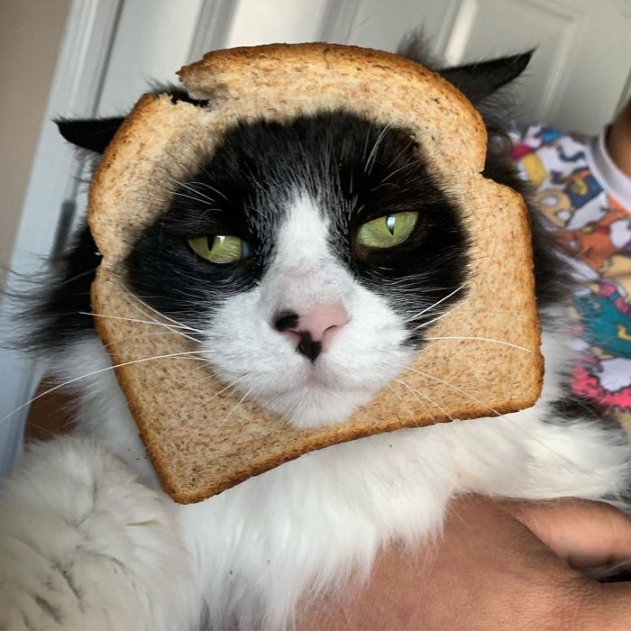 Good Morning , I Swear This Is My Happy Face