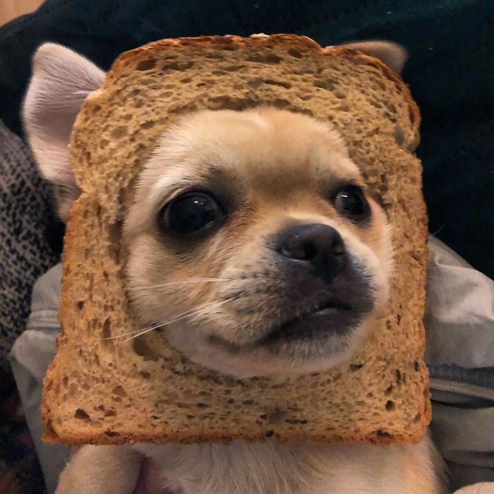 Inbread