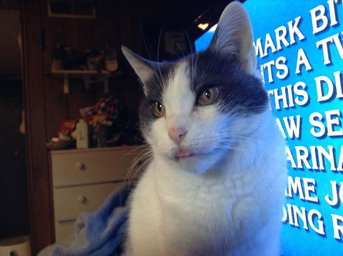 Hootie Loves Jeopardy!