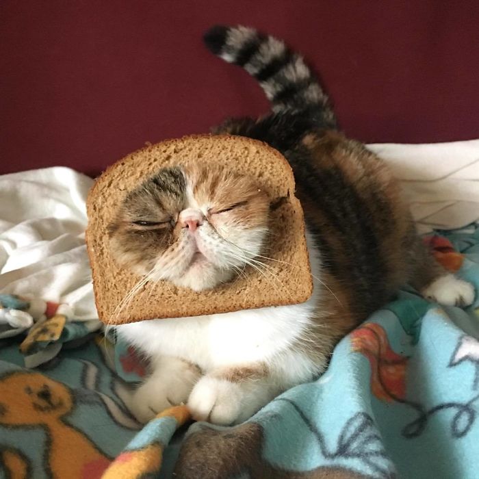 Glam Has Started Taking Loafing A Little Too Seriously