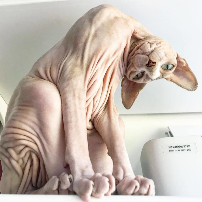 Is It Time For Dinner Yet?