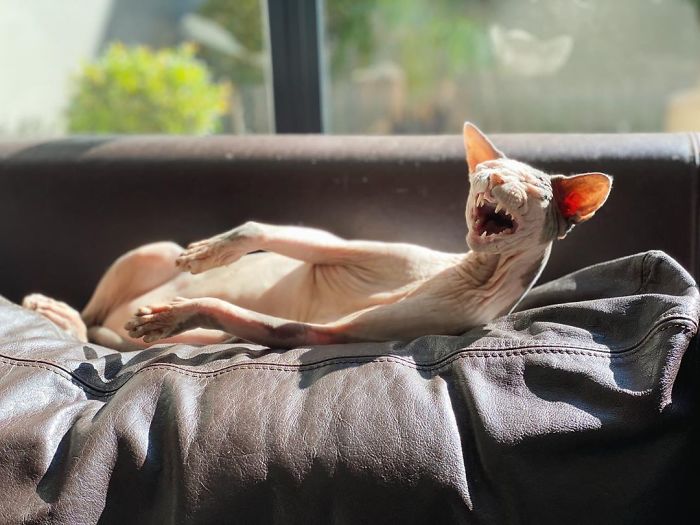 Show Me Your Best Smile