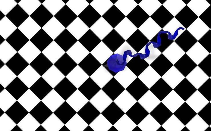 Helena Georgiou Photography