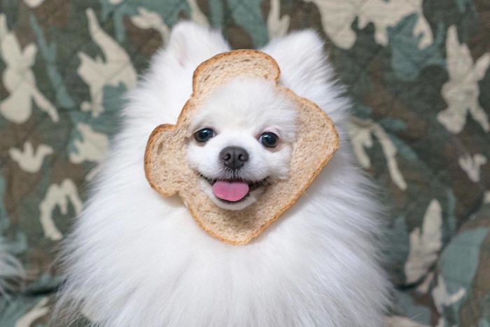 Who Wants To Grab Brunch?