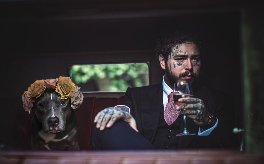 Philly Photographer Summons Post Malone For Adoptable Dog Photoshoot In A Wild Way! Philly Photographer Summons Post Malone For Adoptable Dog Photoshoot In A Wild Way!