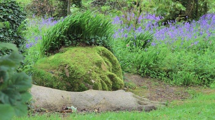 Incredible Living Sculpture In The Lost Gardens Of Heligan Changes Its Appearance With The Seasons