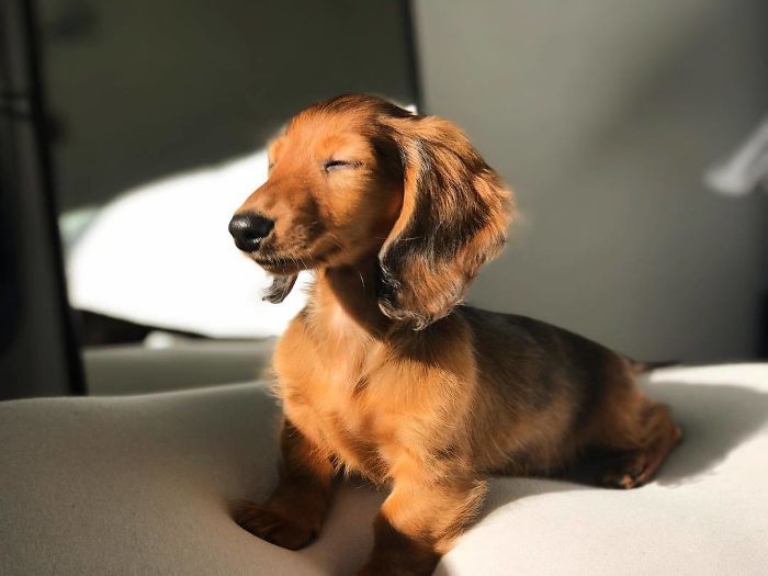 Shielding My Eyes From All The Haters