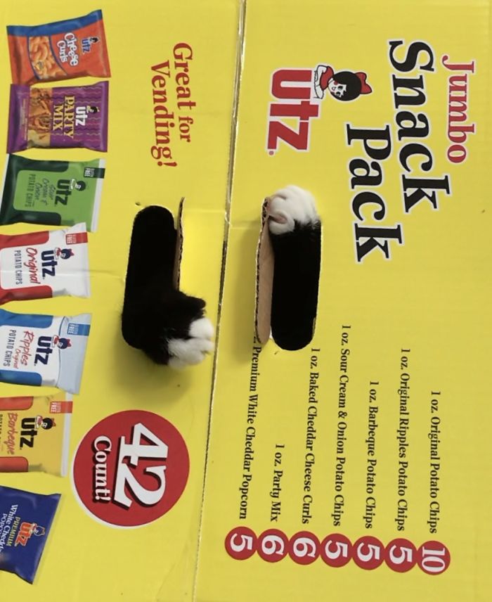 Just A Box Of Chips... Nothing To See Here