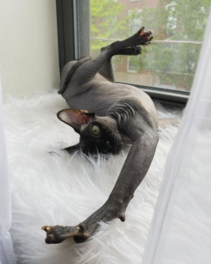 Who’s Ready For The Weekend